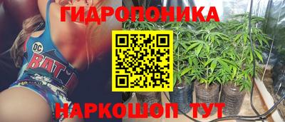 гидропоника Будённовск
