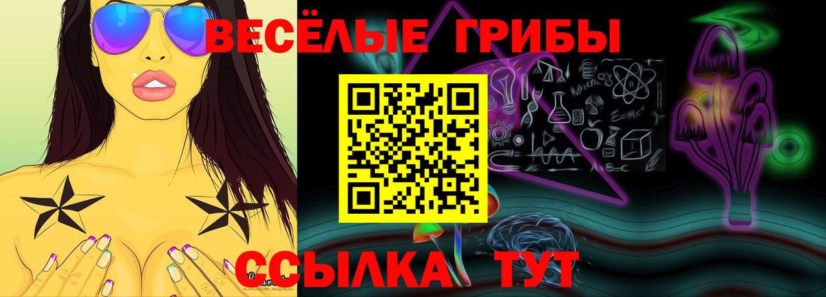 Кувандык  Псилоцибиновые грибы ЛСД  где продают   Вход с VPN 