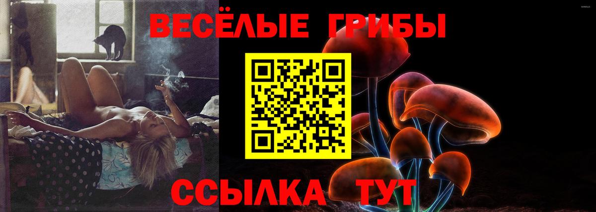 Галлюциногенные грибы Magic Shrooms Кувандык